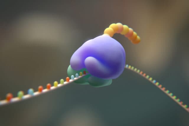 Researchers try to cut the genetic code from 20 to 19 amino acids — image 2