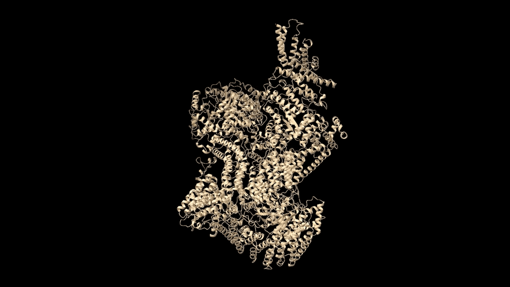 Scaling Biomolecular Modeling Using Context Parallelism in NVIDIA BioNeMo — image 2