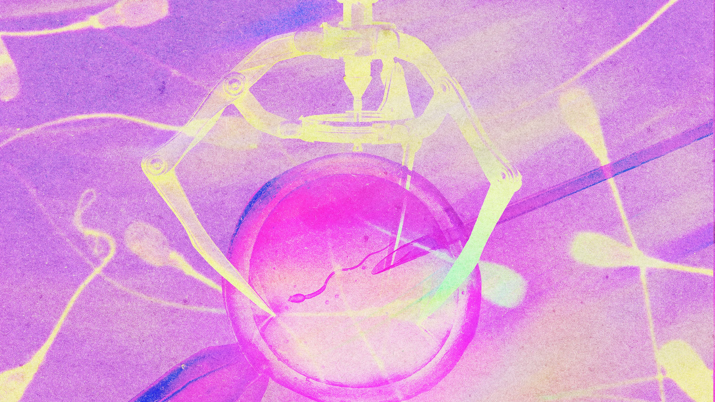 What’s next for IVF — image 2