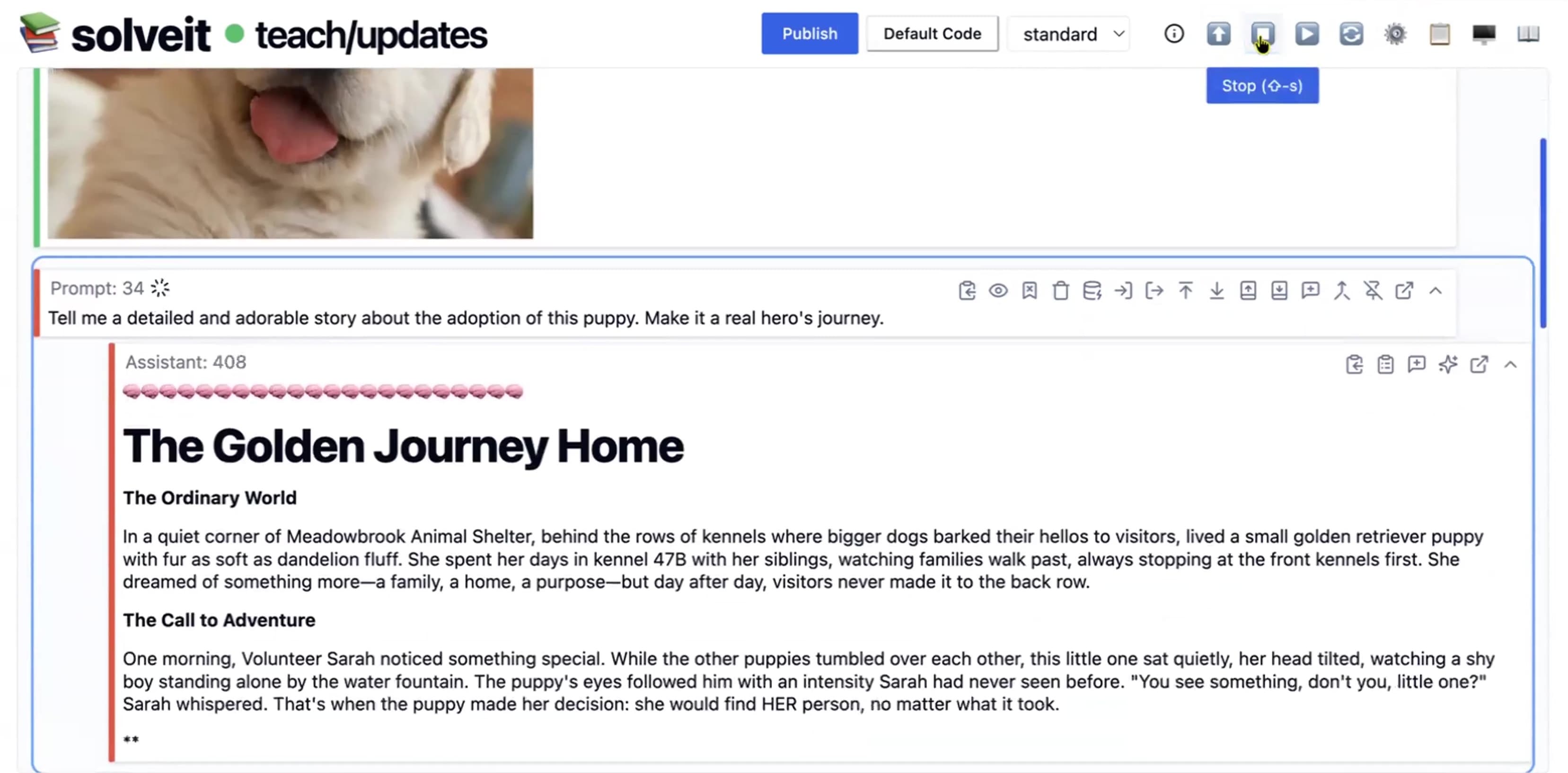 A Guide to Solveit Features